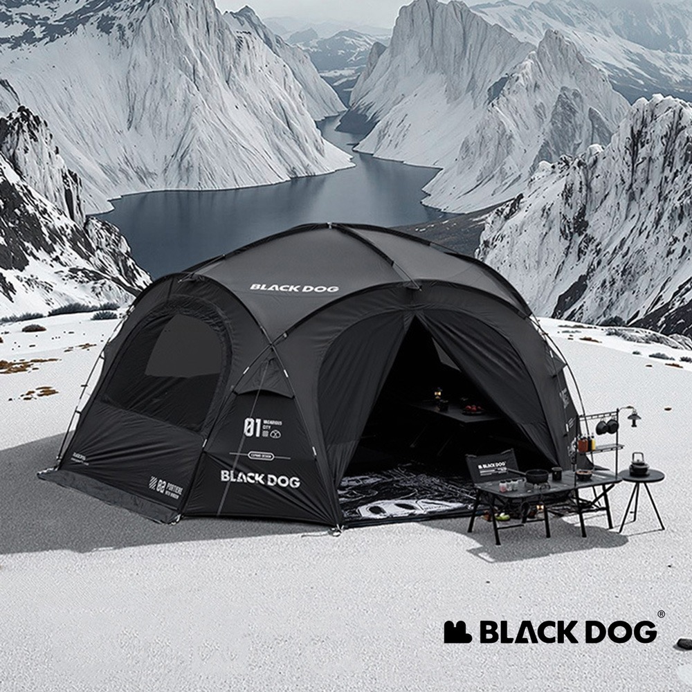 【Naturehike】異想迷城穹頂帳篷 WS010 ｜台灣公司貨-細節圖2