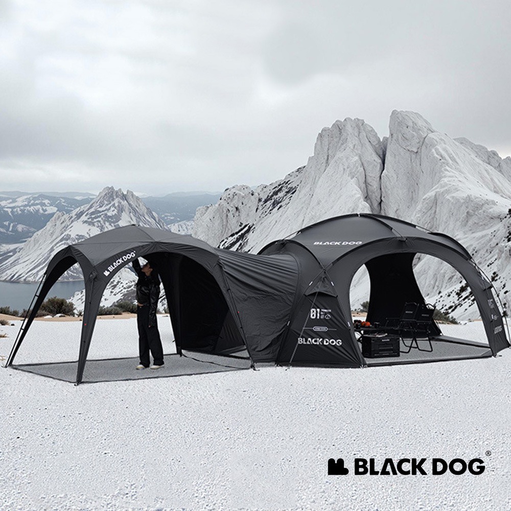 【Naturehike】異想迷城穹頂帳篷 WS010 ｜台灣公司貨-細節圖3