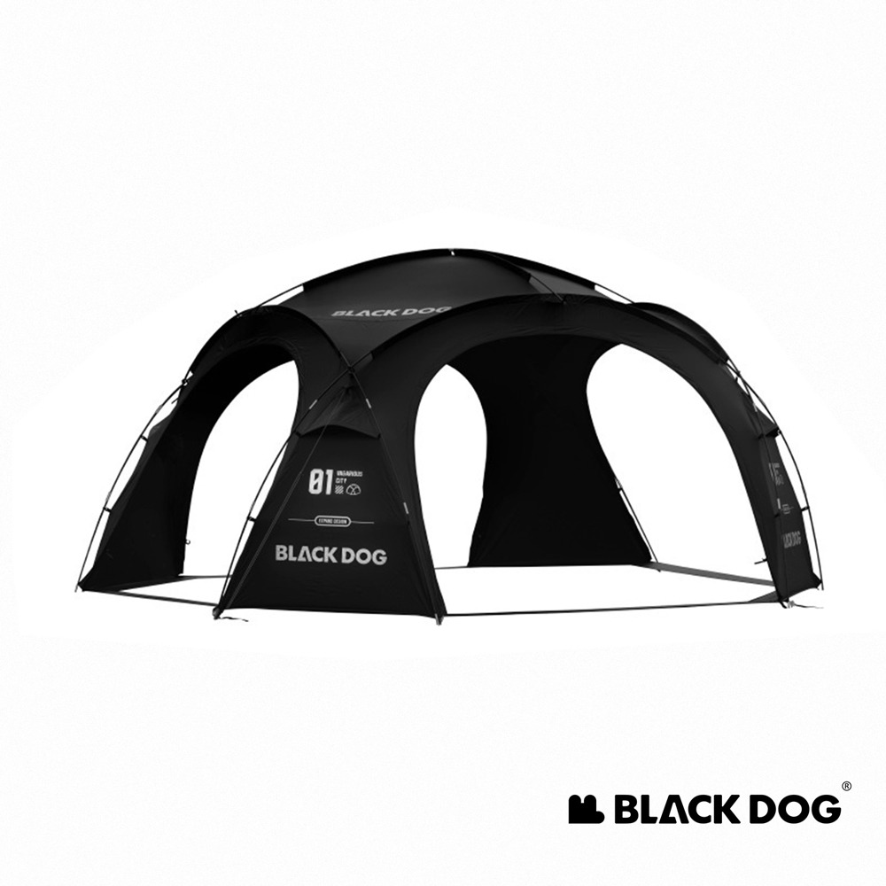 【Naturehike】異想迷城穹頂帳篷 WS010 ｜台灣公司貨-細節圖4