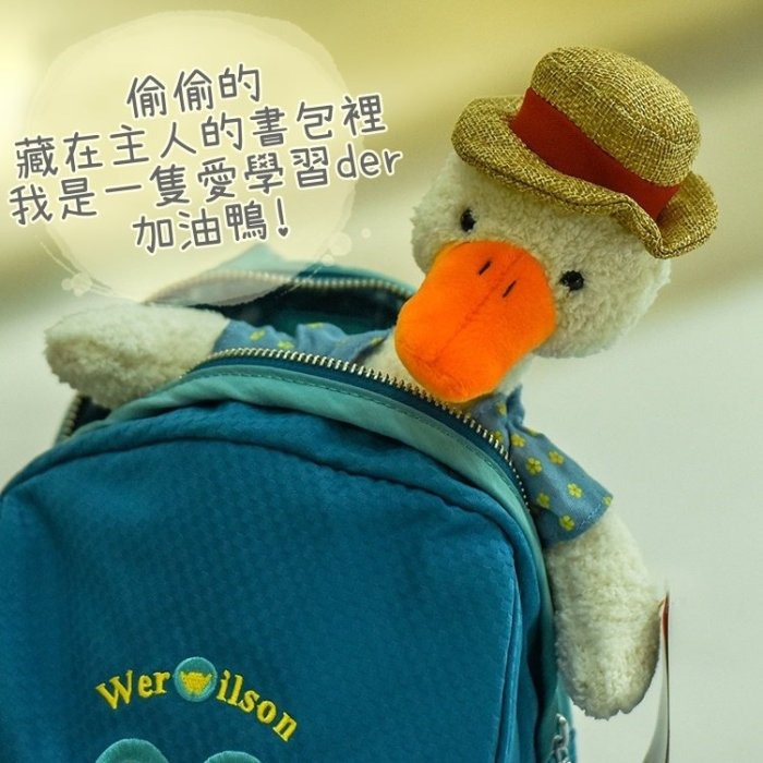 【現貨】超可愛 加油鴨先森 ins 毛絨 抖音 娃娃機 網紅 交換禮物 生日禮物 鴨先生 公仔 生日禮物 療癒-細節圖4