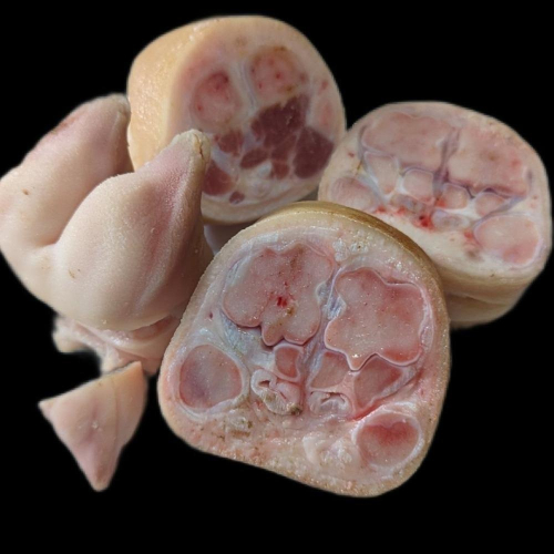 【吃肉肉不會胖】豬腳 豬前腳 整圈 煎炒煮 燉湯 滷豬腳 國產豬肉 1.2kg