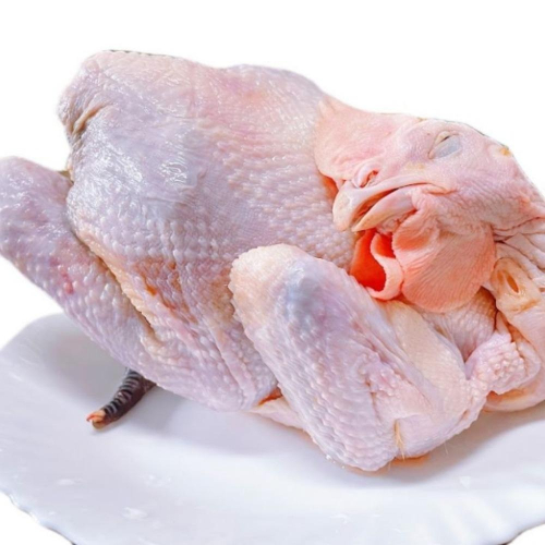【吃肉肉不會胖】正台灣土雞 全雞 約1.7kg 國產雞 煎炒煮 雞肉 紅羽/黑羽土雞 健身餐 小家庭 外食主義