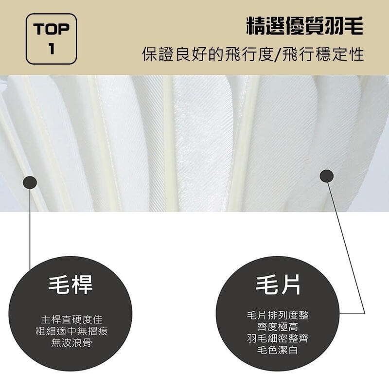 ◇ 羽球世家◇【羽毛球】 VOLAR  S 黑銀 比賽練習級羽球- 《C/P值高鵝毛球》-細節圖3