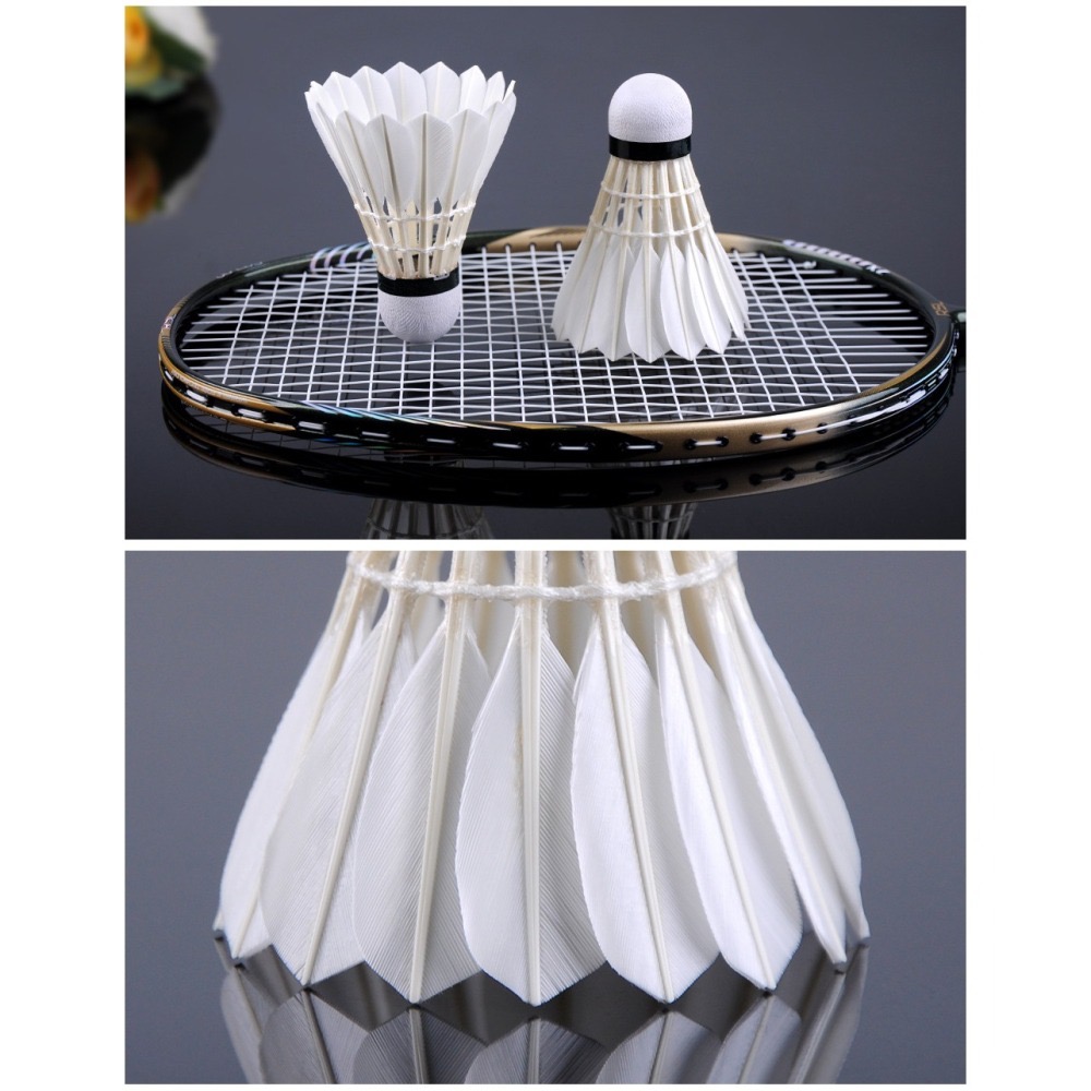 （羽球世家） RSL 頂級鵝毛羽球 超穩定耐打 亞斯龍 黃金球 Ultimate 限量(一顆抵六場) 完勝 YYAS50-細節圖6