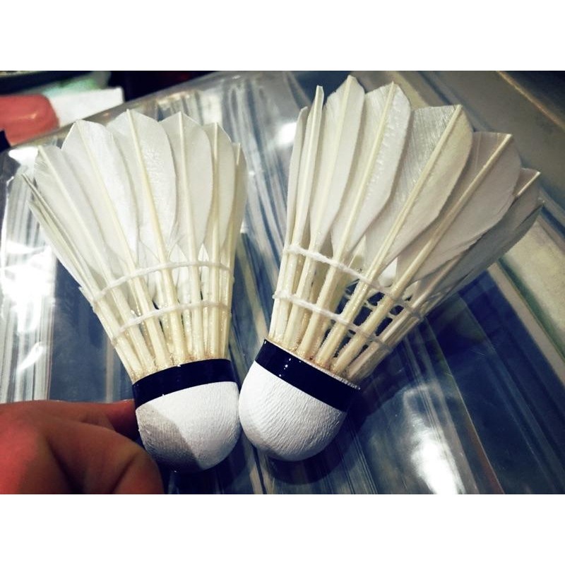 ◇ 羽球世家◇【球】新品牌VOLAR 10 黑紅 練習級羽球-特價 V10 《基礎訓練很合適77速》VOLAR30-細節圖4