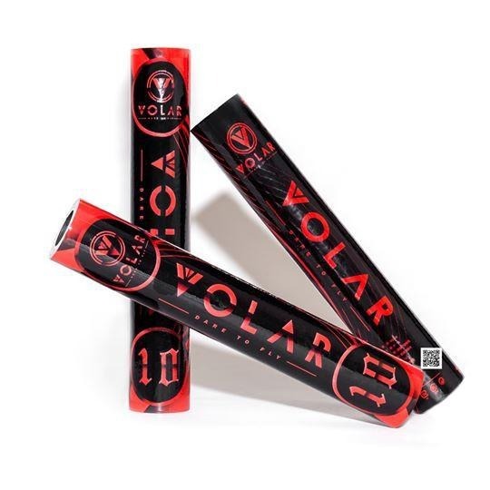 ◇ 羽球世家◇【球】新品牌VOLAR 10 黑紅 練習級羽球-特價 V10 《基礎訓練很合適77速》VOLAR30-細節圖5
