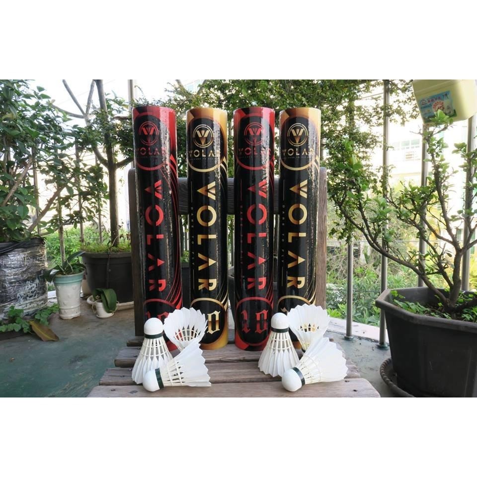 ◇ 羽球世家◇【球】新品牌VOLAR 10 黑紅 練習級羽球-特價 V10 《基礎訓練很合適77速》VOLAR30-細節圖6