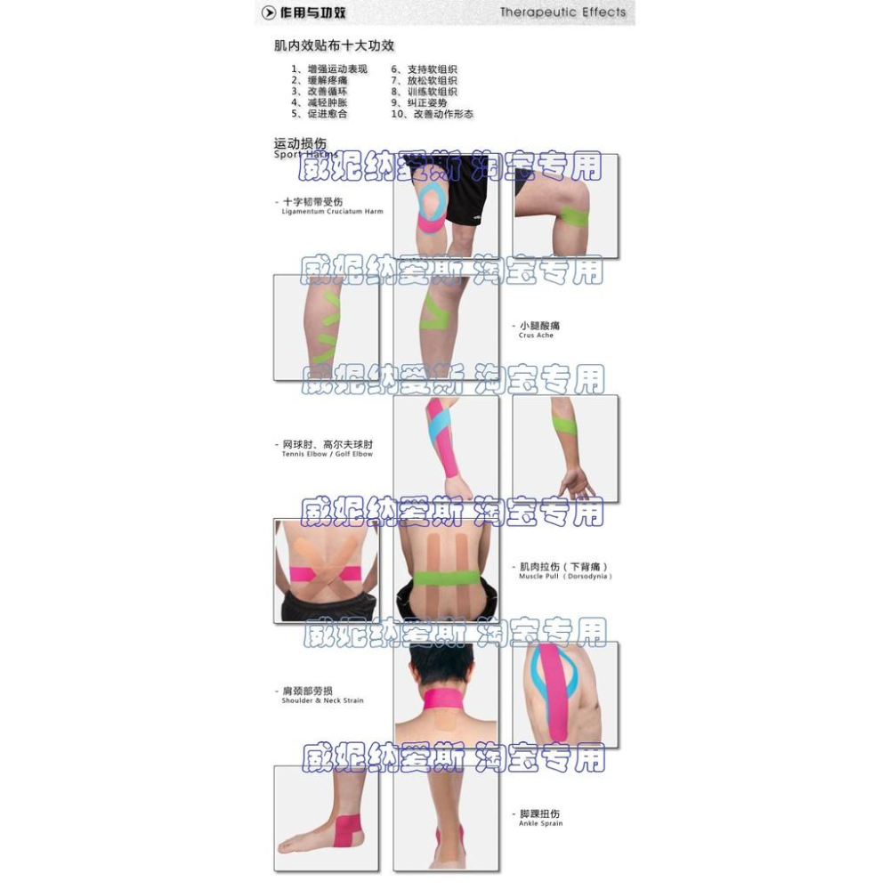 （羽球世家）日本肌內效 肌貼NITTO 日東 五色 陸上競技聯盟公認 5cm*4.6M-細節圖5