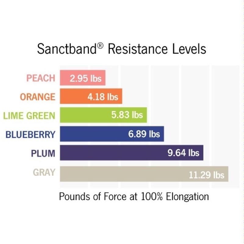 ◇ 羽球世家◇【健身訓練】科正推薦 sanctband 重度 拉力帶ACC103 專業型彈力帶 抗過敏醫療乳膠 藍色-細節圖5