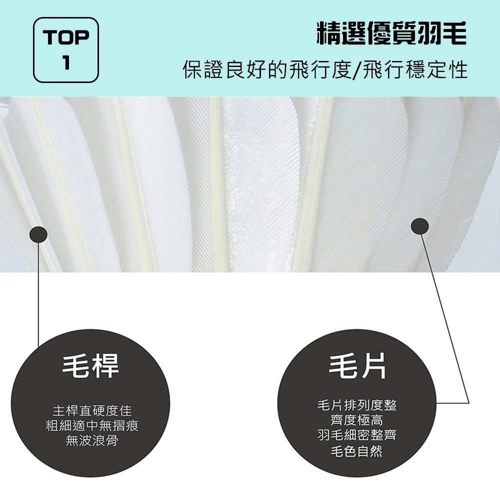 ２筒 (羽球世家) Volar 新球 Volar B 天然鵝毛 飛行穩定 練習級 初學者-細節圖4