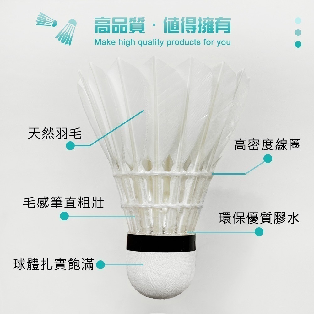 ２筒 (羽球世家) Volar 新球 Volar B 天然鵝毛 飛行穩定 練習級 初學者-細節圖5