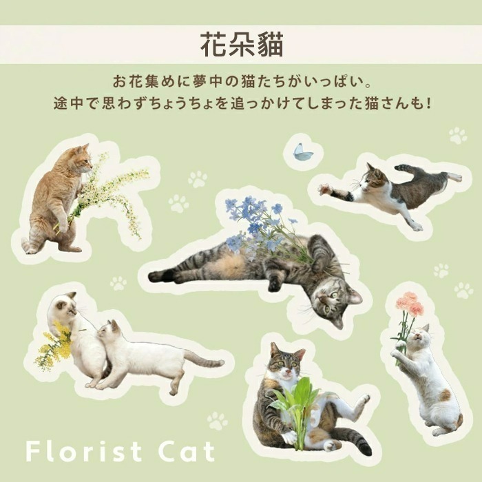 ✧查米✧新款現貨 日本正版 Wpc 沖昌之 貓咪 花朵 輕量折傘 抗UV 遮光率100% 抗紫外線 遮光傘 雨傘 陽傘-細節圖6