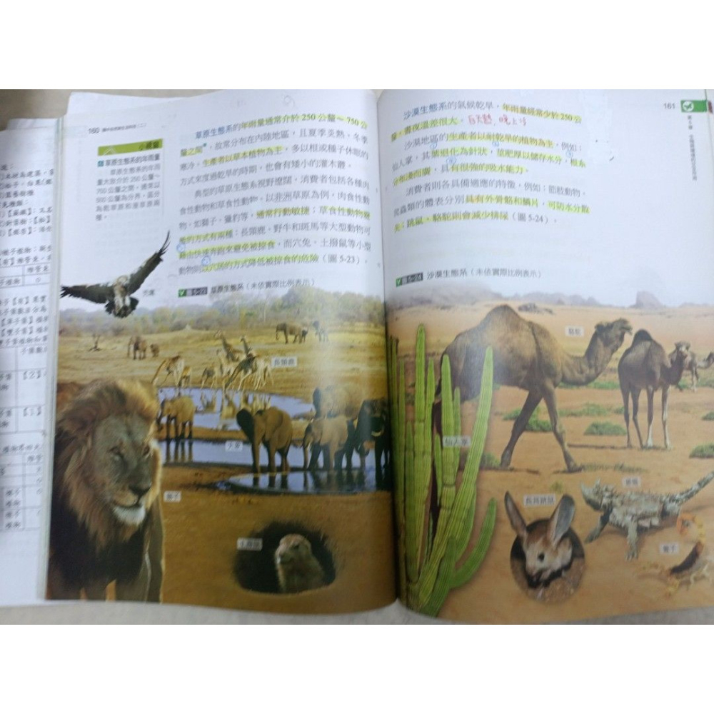 二手國中 自然生活與科技 1下 南一書局  內頁有筆記-細節圖3