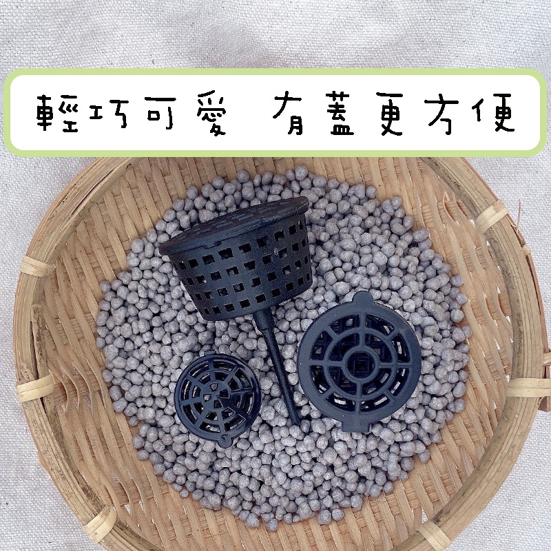 【肥料盒🌱】大_中_小 - 鹿角蕨施肥 肥料 多肉植物 觀葉植物-細節圖2