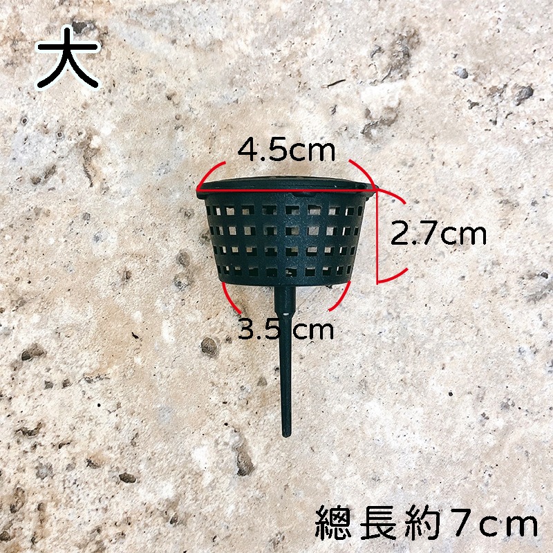 【肥料盒🌱】大_中_小 - 鹿角蕨施肥 肥料 多肉植物 觀葉植物-細節圖5