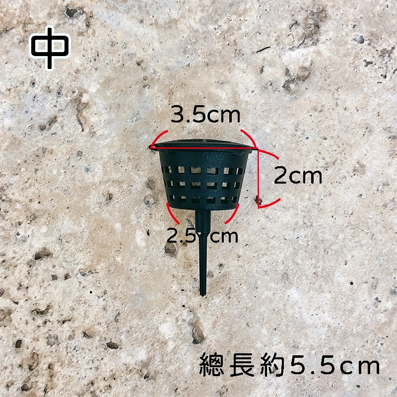【肥料盒🌱】大_中_小 - 鹿角蕨施肥 肥料 多肉植物 觀葉植物-細節圖6
