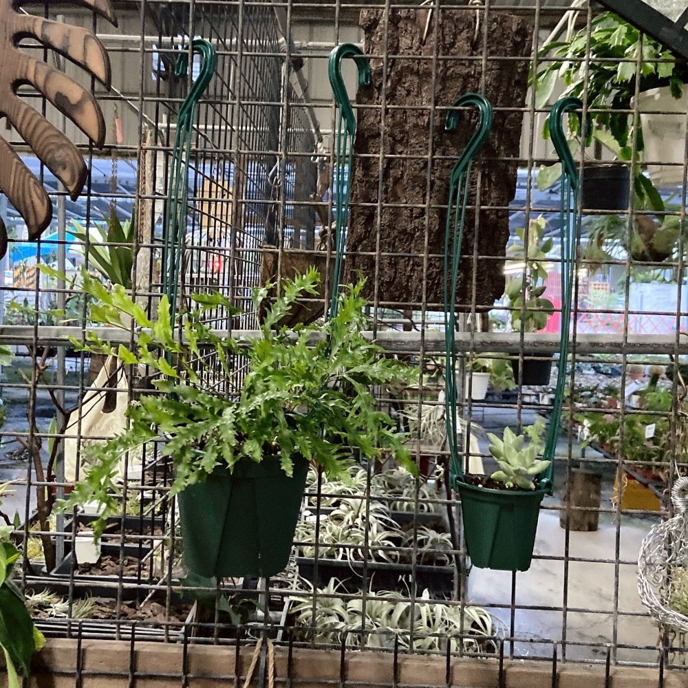 【青山盆 🏔】小 - EU15_12_9_6   盆器/盆栽/多肉植物/仙人掌/觀葉植物-細節圖3