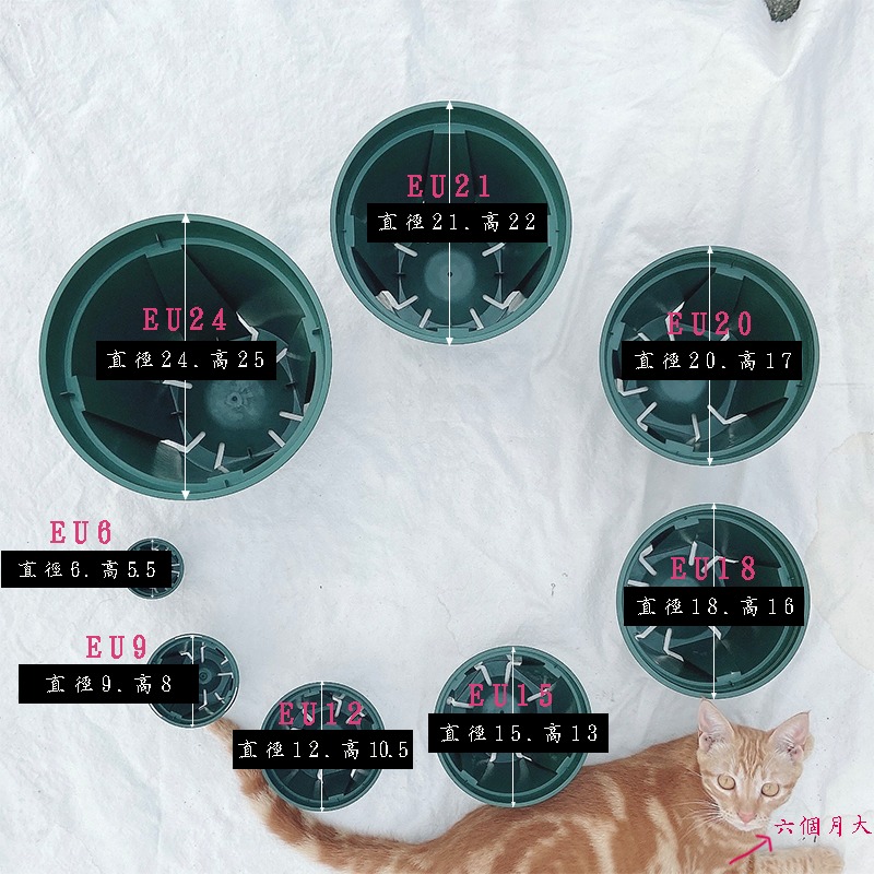 【青山盆 🏔】小 - EU15_12_9_6   盆器/盆栽/多肉植物/仙人掌/觀葉植物-細節圖4