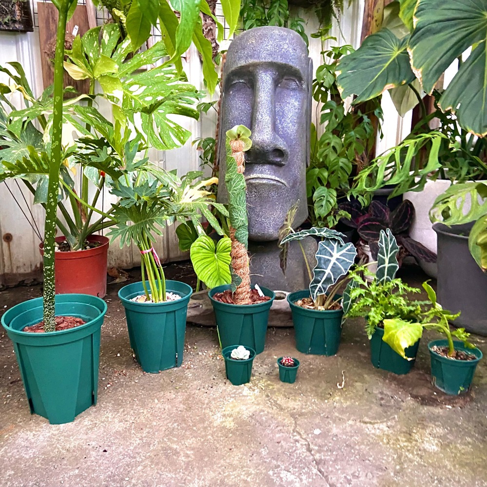 【青山盆 🏔】小 - EU15_12_9_6   盆器/盆栽/多肉植物/仙人掌/觀葉植物-細節圖6