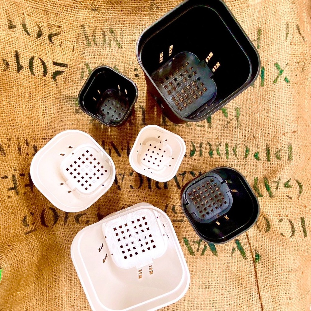 【圓角盆】黑 白 - 5吋_4吋_3吋  花盆/塑膠盆/盆器/簡約風-細節圖3