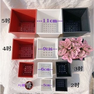 【直角方盆】黑 白 磚紅 - 2吋_3吋_4吋_5吋 花盆 植栽 塑膠盆-細節圖2