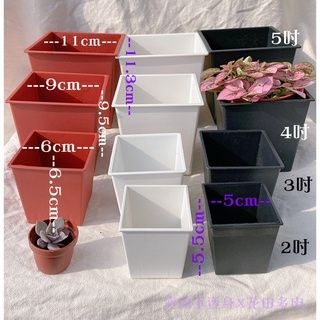 【直角方盆】黑 白 磚紅 - 2吋_3吋_4吋_5吋 花盆 植栽 塑膠盆-細節圖3
