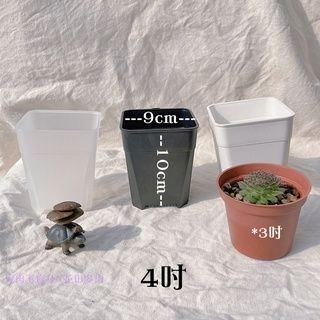 【透氣盆】黑 白 透明 - 6吋_5吋_4吋_3吋    多肉植物 仙人掌 花盆 塑膠盆 園藝-細節圖4