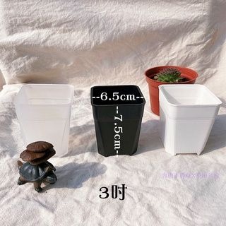 【透氣盆】黑 白 透明 - 6吋_5吋_4吋_3吋    多肉植物 仙人掌 花盆 塑膠盆 園藝-細節圖5