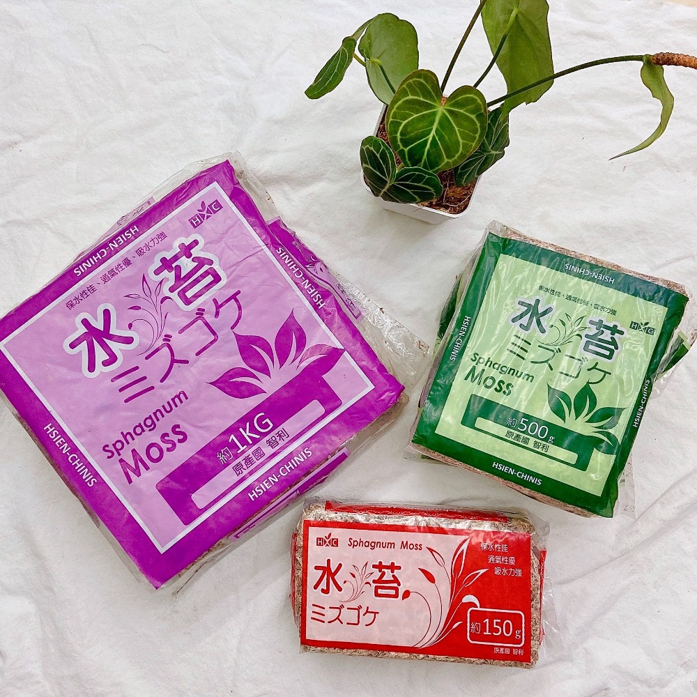 【水苔】大 中 小 - 1kg_ 500g_150g  智利水苔  鹿角蕨  龜背芋  苔球 組盆 蘭花 甲蟲 爬蟲類-細節圖2