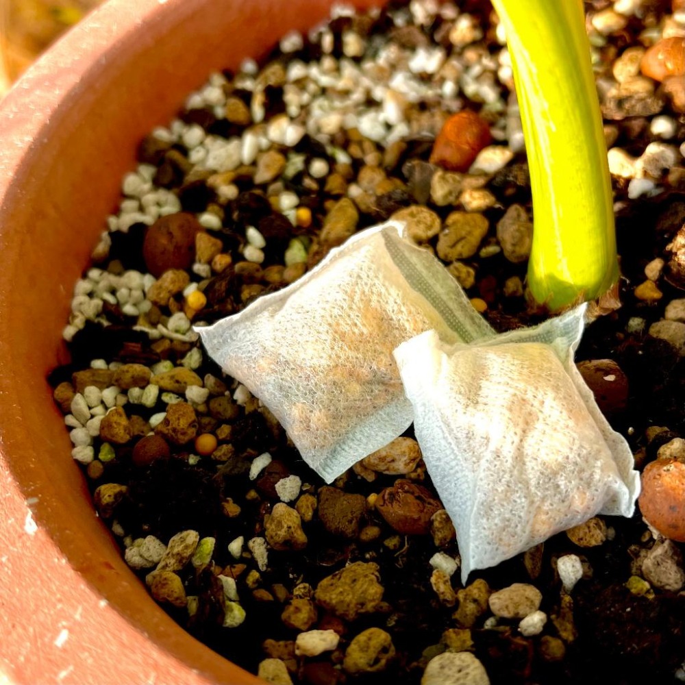 【全效奧綠肥】(不織布小包裝)  奧妙肥/全效肥/多肉植物/開花植物/觀葉植物/肥料/植栽-細節圖5