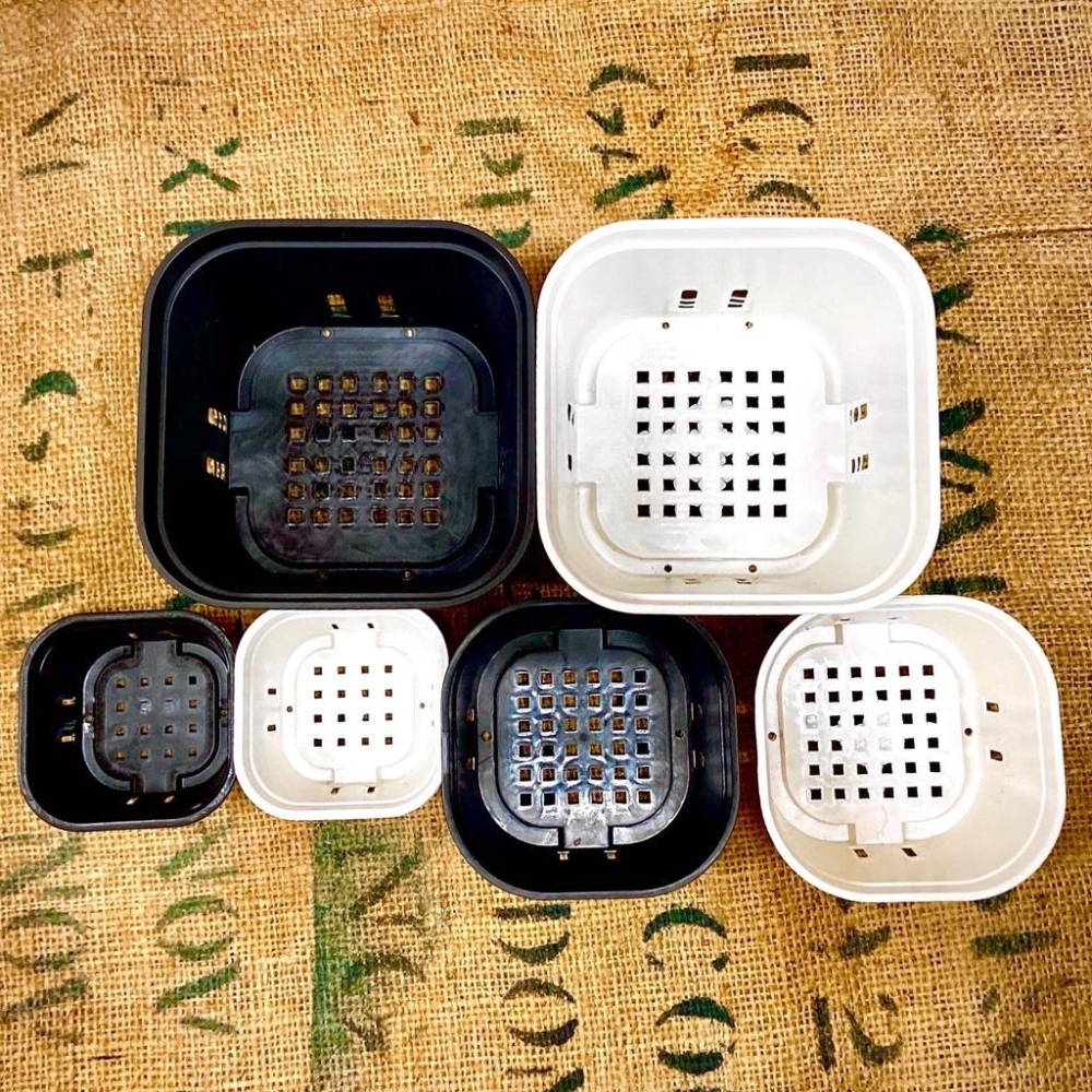 【圓角盆】黑/白  5吋/4吋/3吋  花盆/塑膠盆/盆器/簡約風-細節圖4