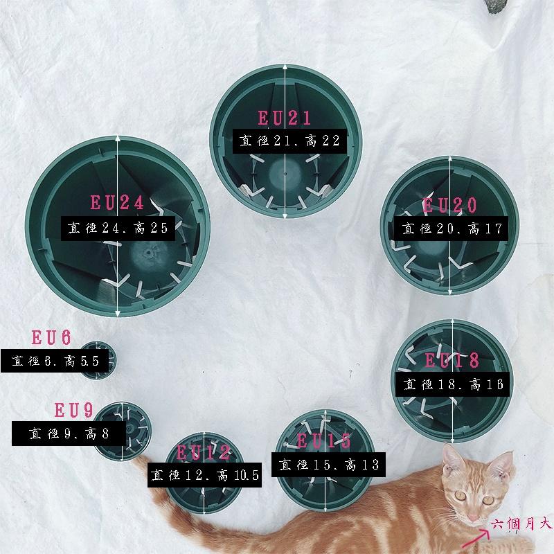 【青山盆小】EU-15 12 9 6   盆器/盆栽/多肉植物/仙人掌/觀葉植物-細節圖5