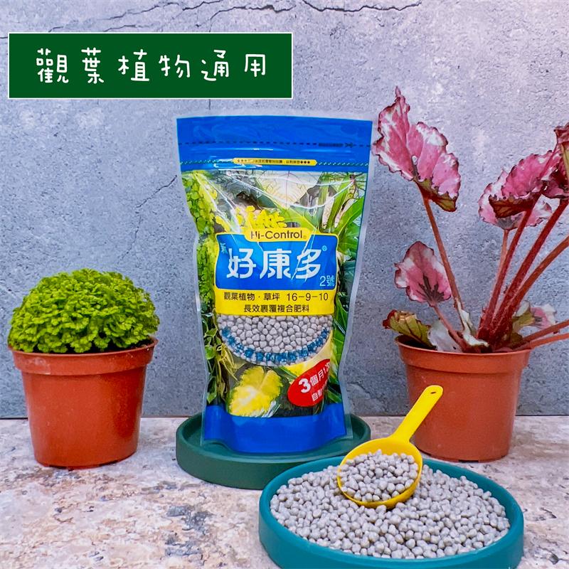 【新好康多】1號園藝/2號觀葉  肥料/施肥/園藝植物/觀葉植物/多肉植物-細節圖4