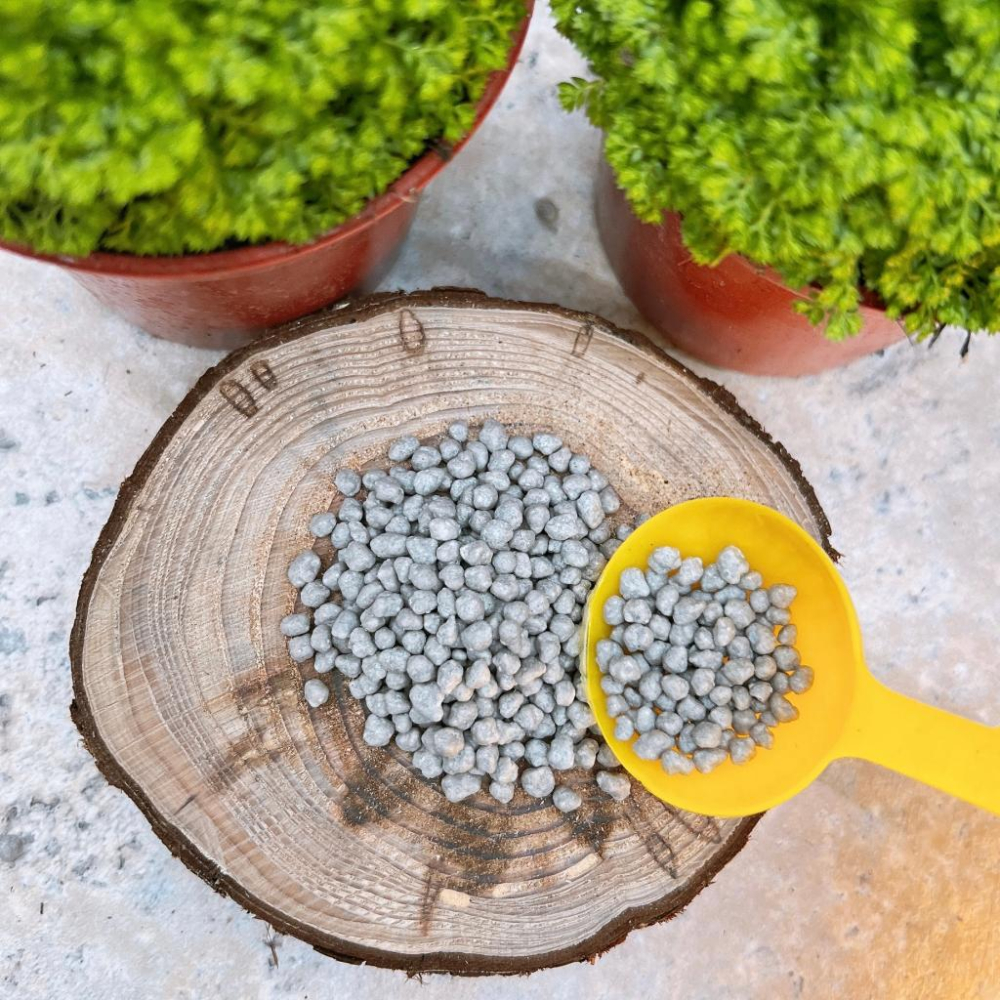 【新好康多】1號園藝/2號觀葉  肥料/施肥/園藝植物/觀葉植物/多肉植物-細節圖5