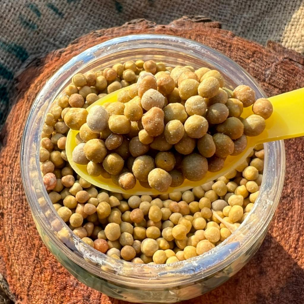 【便利肥1號 (附勺子)】多肉植物/肥料/控釋/施肥/介質/多肉植物/蘭花-細節圖2