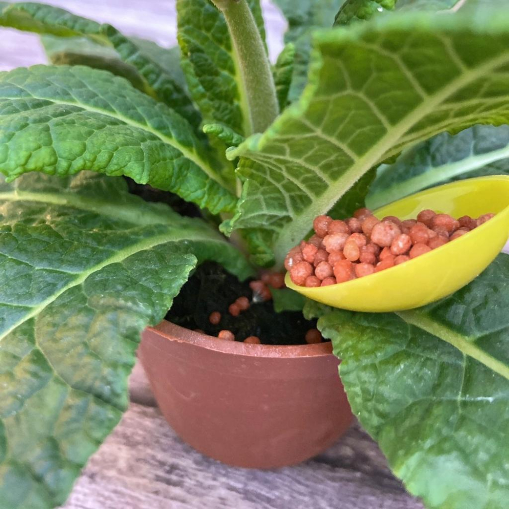 【便利肥5號 (附勺子)】開花植物/肥料/控釋/施肥/介質/多肉植物/蘭花-細節圖3