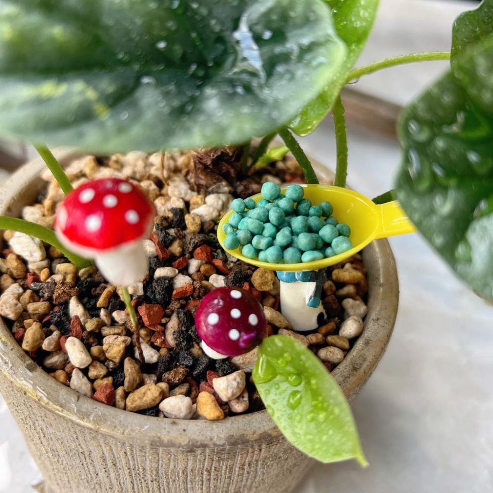 【便利肥3號(附勺子)】養葉肥/觀葉植物/肥料/控釋/施肥/介質/多肉植物/蘭花-細節圖4