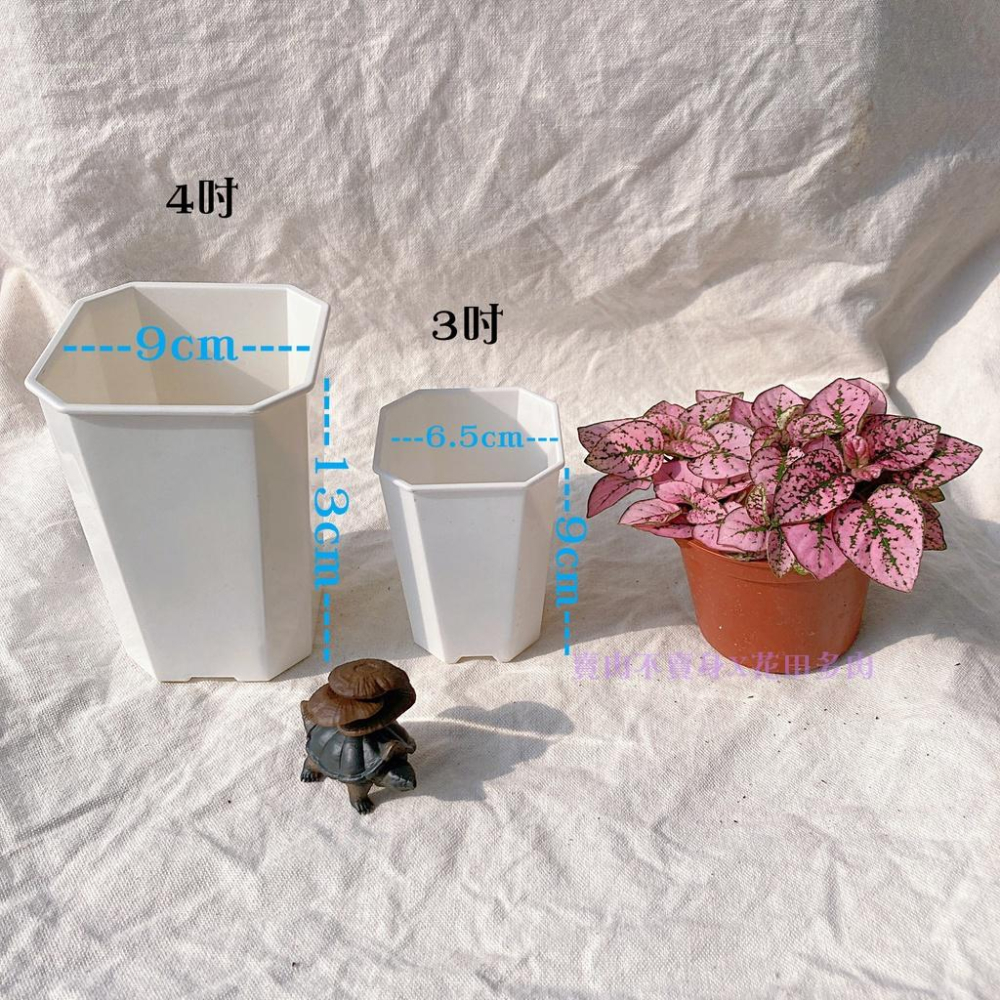 八角高方盆 白色 花盆 盆子 塑膠盆-細節圖2