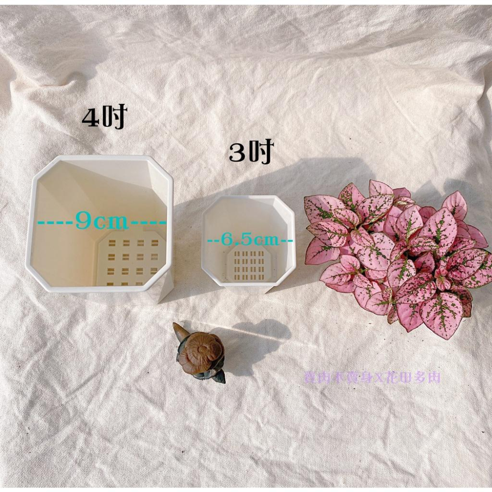 八角高方盆 白色 花盆 盆子 塑膠盆-細節圖3