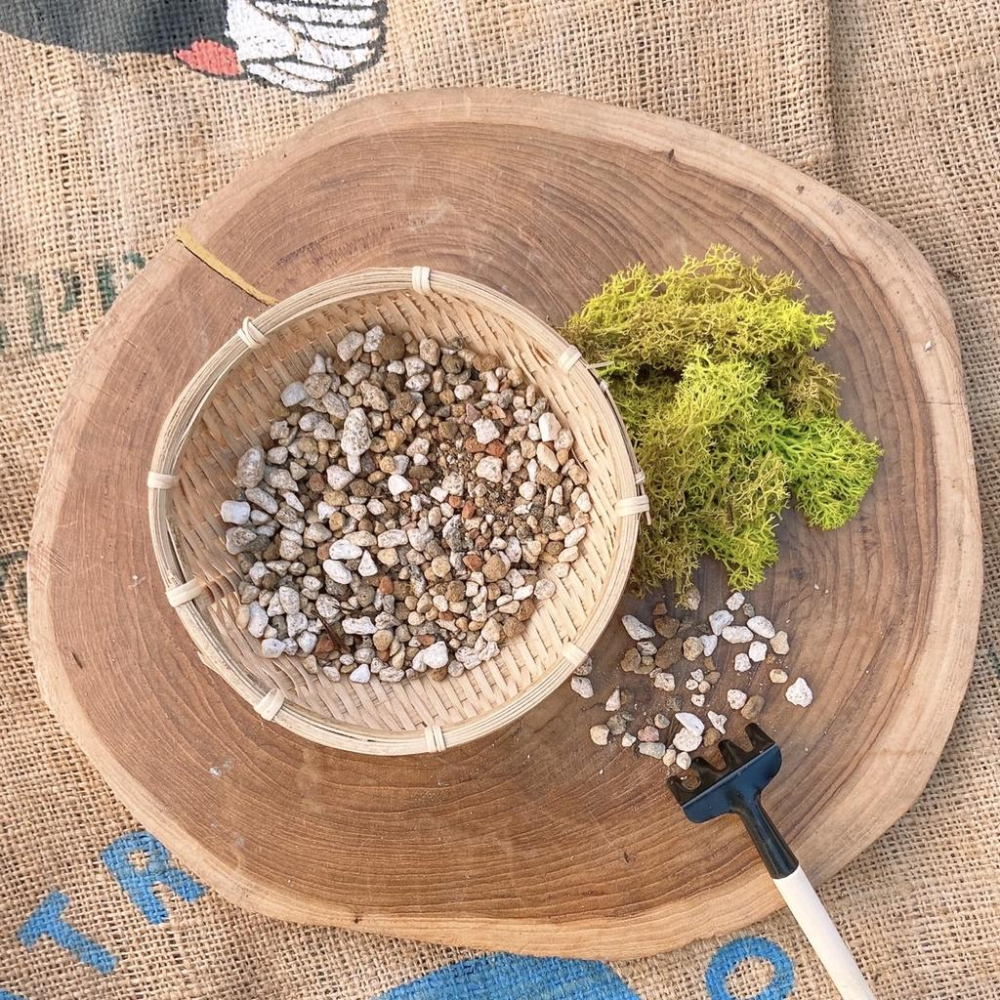 【松竹園藝】多肉專用土 10公升裝 多肉植物/仙人掌/塊根/介質-細節圖2