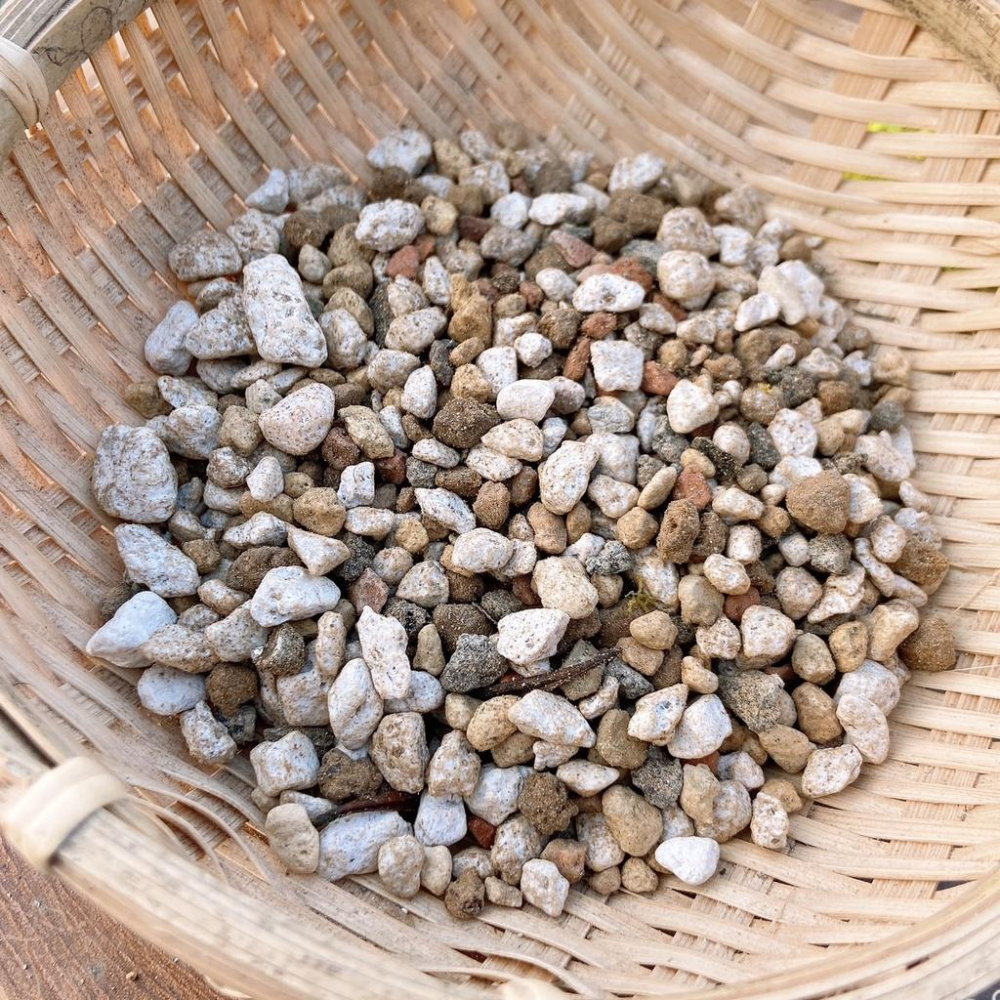 【松竹園藝】多肉專用土 10公升裝 多肉植物/仙人掌/塊根/介質-細節圖4