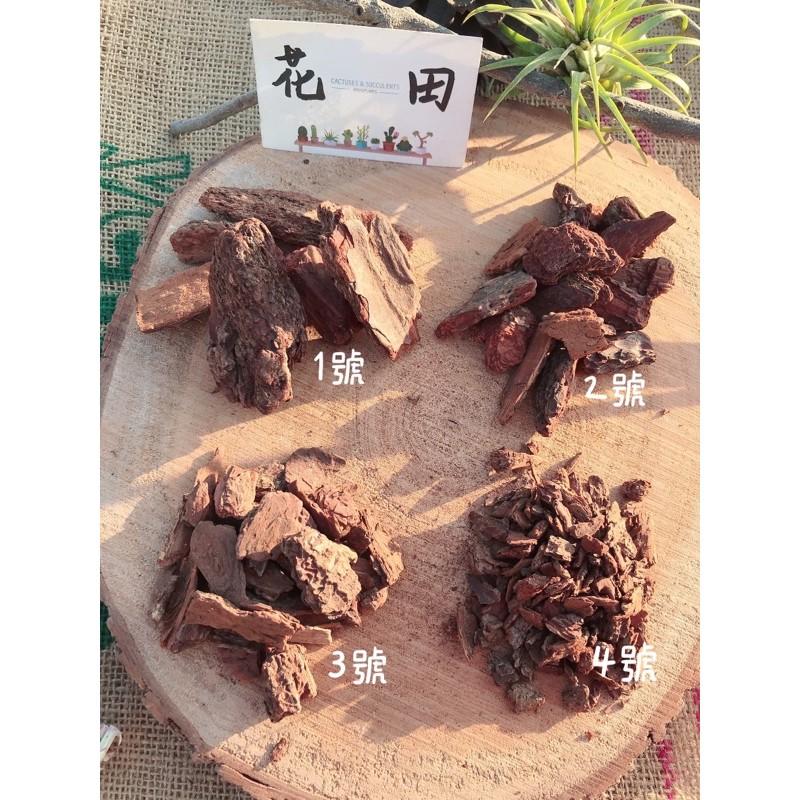 【松樹皮】1-5號  500g  蘭花/空氣鳳梨/鹿角厥/觀葉植物/鋪面/防蟲/介質-細節圖2