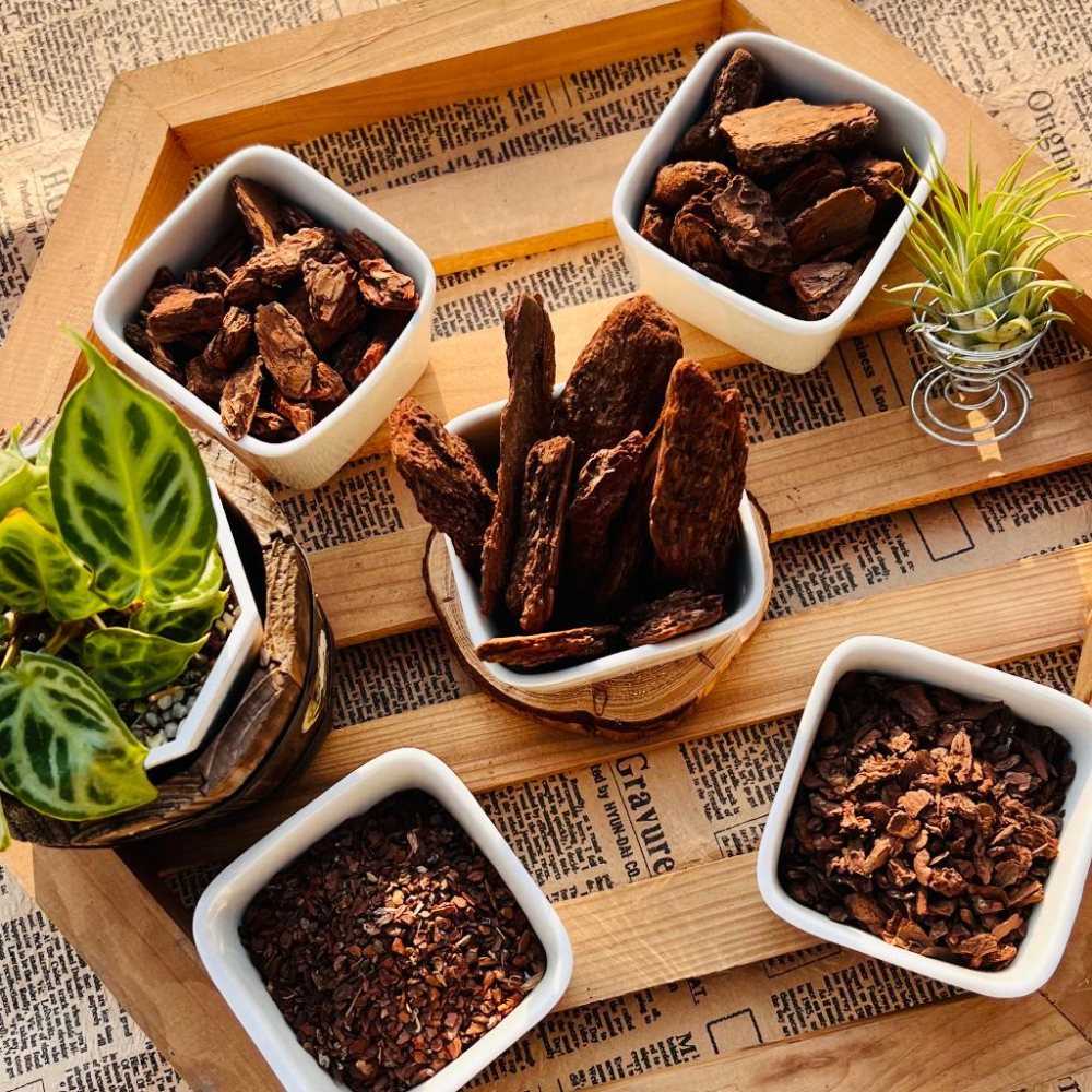 【松樹皮】1-5號  500g  蘭花/空氣鳳梨/鹿角厥/觀葉植物/鋪面/防蟲/介質-細節圖7