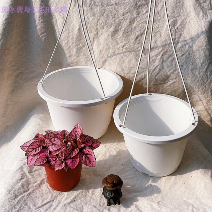 白色吊盆】5/6/7吋（付吊鉤）花盆/盆子/塑膠盆/植物/盆器- 花田多肉