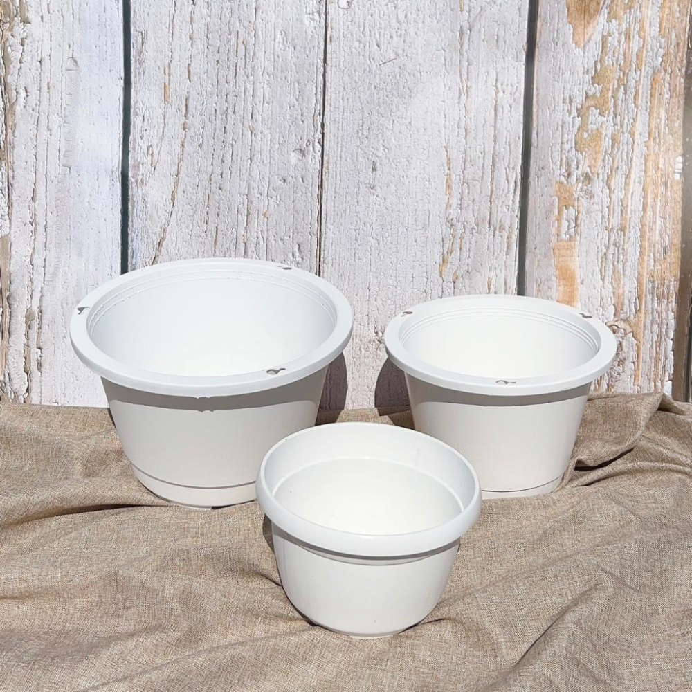 【白色吊盆】5/6/7吋（付吊鉤）花盆/盆子/塑膠盆/植物/盆器-細節圖2