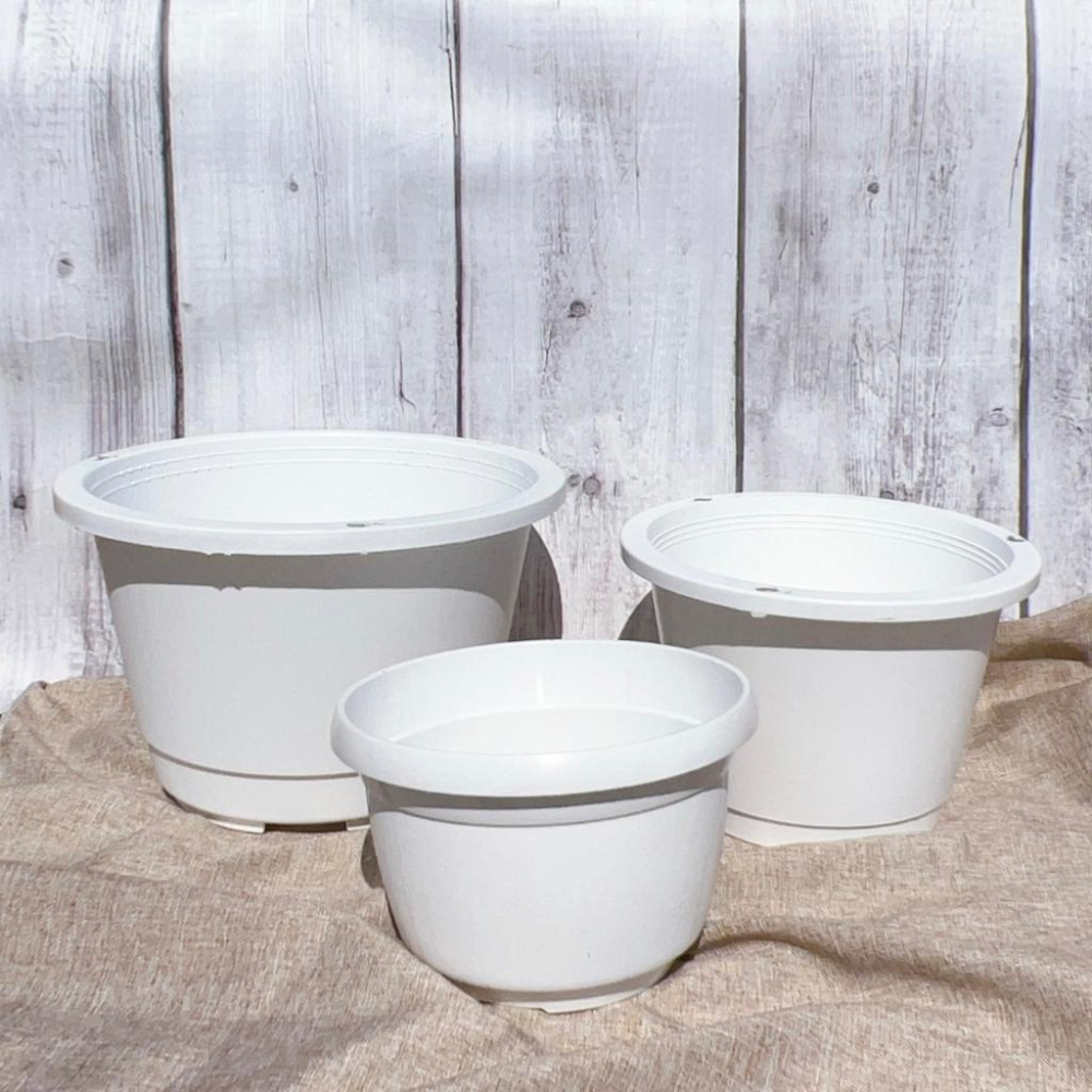 【白色吊盆】5/6/7吋（付吊鉤）花盆/盆子/塑膠盆/植物/盆器-細節圖5