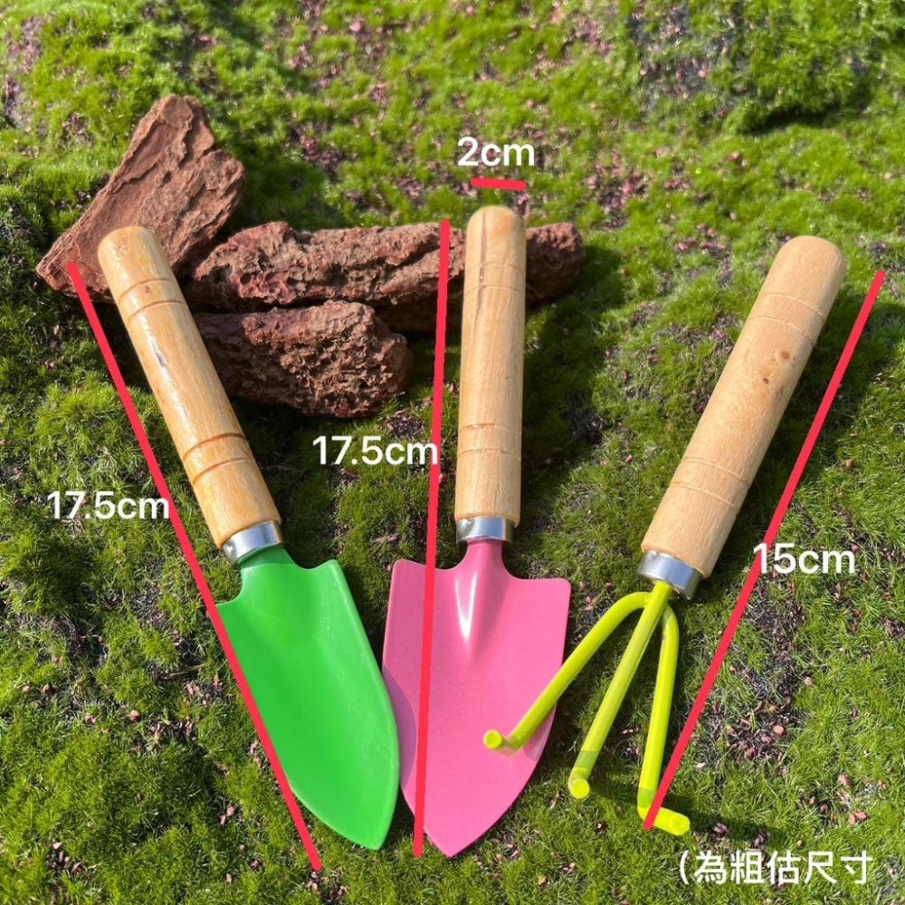 【木柄三件套】大  園藝用品/資材/鏟子/組盆/多肉植物-細節圖8