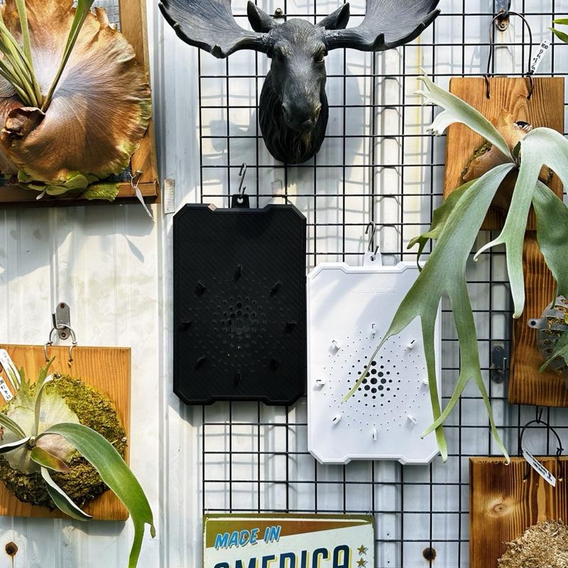 【植階上板-碳纖維版】鹿角蕨上板 細菌鹿角蕨上板 女王上板-細節圖2