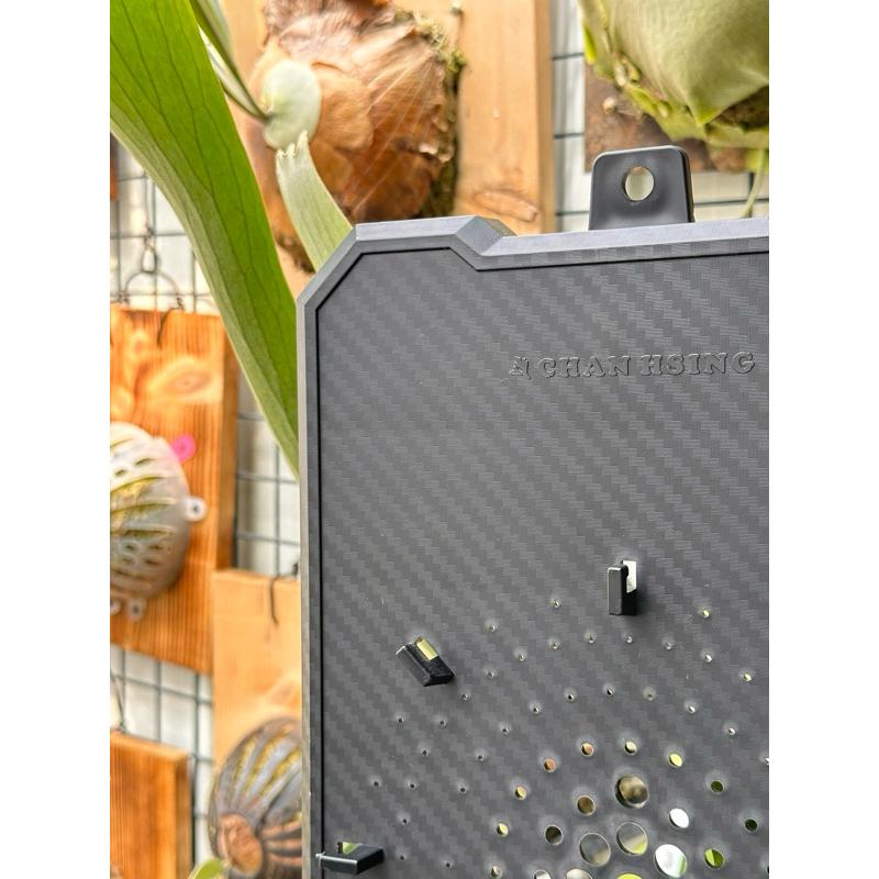 【植階上板-碳纖維版】鹿角蕨上板 細菌鹿角蕨上板 女王上板-細節圖3