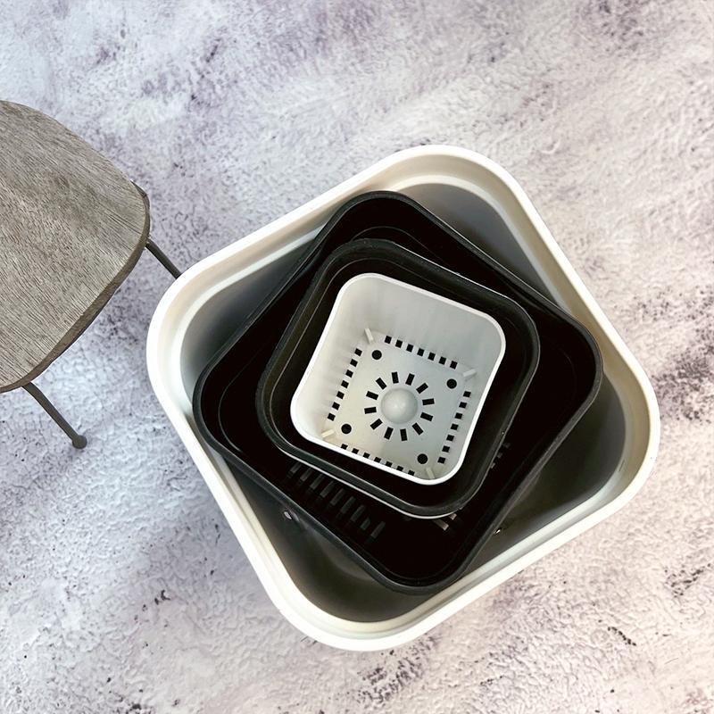 【矮透氣盆】黑/白 盆器/園藝/資材/多肉植物/仙人掌-細節圖4